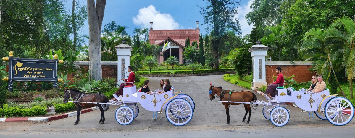 horse-drawn carriages