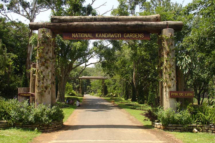 national kandawgyi Garden